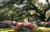 St. Simons Island::Stsimonsguide.com