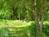 Meadowbrook Bed & Breakfast::BedAndBreakfast.com
