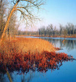 Tn-rclcreeksunset
