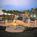 Wyndham Orlando Resort::Expedia