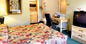 Web-room0-20070321-122200-457