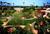 Le Parker Meridien Palm Springs::Yahoo! Travel