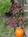 Echoes of the Glen Bed & Breakfast::BedAndBreakfast.com