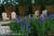 Windover Inn::BedAndBreakfast.com