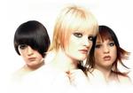 Tn-greathairpic