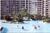 Edgewater Beach Resort from VirtualTourist