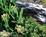 Emeraldview Guesthouse::BedAndBreakfast.com