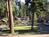Cedar Glen Lodge from Travelocity.com