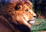 Knoxville Zoological Gardens