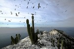 Arizona-Sonora Desert Museum