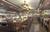 Doubletree Hotel Spokane-City Center::Expedia