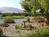 Tivy Mountain Vintners::BedAndBreakfast.com