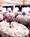Simsbury Inn::Hotels.com