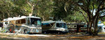Tn-frog-campers
