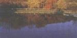 Big Brown Fish & Pay Lakes