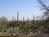 Canyon Cafe at Loews Ventana Canyon Resort Restaurant::VirtualTourist