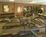 Hyatt Summerfield Suites - Scottsdale::Priceline.com