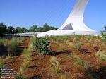Sundial Bridge::Shastalake.com