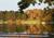 Maddens On Gull Lake::Priceline.com