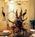 Ellington Resort At Wachsaw E::ProfessionalTravelGuide.com