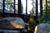 The Deerfield Lodge At Heavenly::Travelocity.com