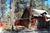 Golden Bear Cottages Resort from Yahoo! Travel