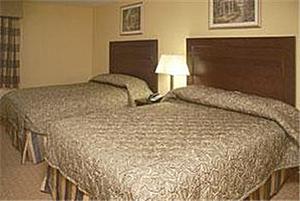 Web-lax_mtpk-rooms-1