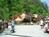 Dollywood::ThrillNetwork.com