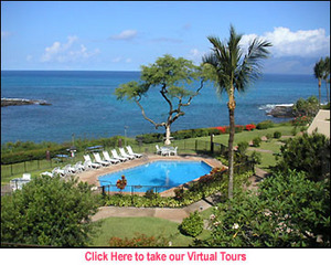 Napili Point Resort::Napili.com