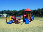 Blooming Meadows Park