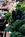 Holiday Inn Express And Suites Saco::Orbitz