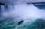Maid of the Mist::Yahoo! Travel