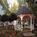 Cedar Street Inn And Spa::Priceline.com
