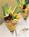 InterContinental Chicago::Orbitz