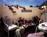 Sonoma Creek Inn::Orbitz