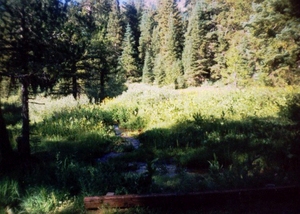 Web-cavelake001