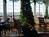 Gruene River Inn::BedAndBreakfast.com