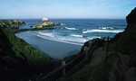 Sand Dollar Beach