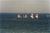 Holiday Inn Express And Suites Saco::Orbitz
