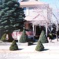 The Koeller House Bed and Breakfast