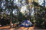 Nickerson State Park
