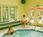 Woodfin Suite Hotel Dublin::Orbitz