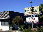 Andy Nguyen II