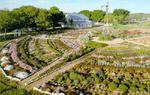 The Fredericksburg Herb Farm