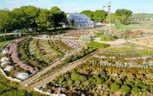 The Fredericksburg Herb Farm::Fredericksburgherbfarm.com