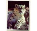 Denver Zoological Gardens