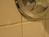 AmeriSuites Cincinnati Blue Ash::TripAdvisor