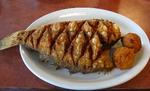 White River Fish Market::RoadFood