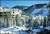 Vail S Mountain Haus::CitySearch