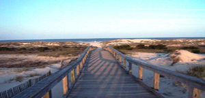 Cumberland Island National Seashore::Nps